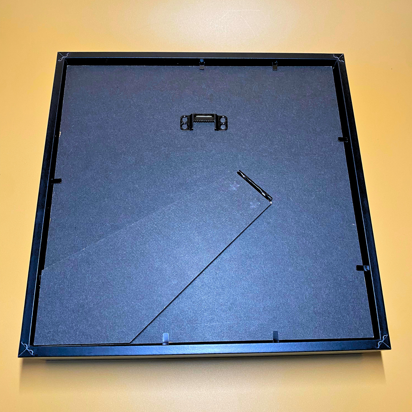 Goliathus beetle FIGURE in frame