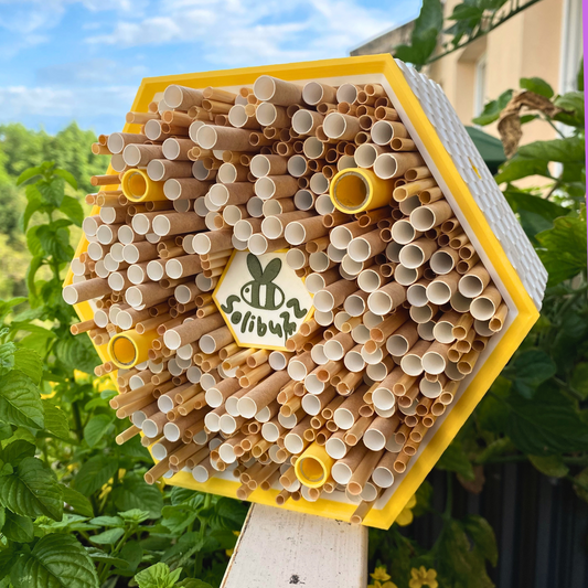 SoliBuzz - solitary bee hotel