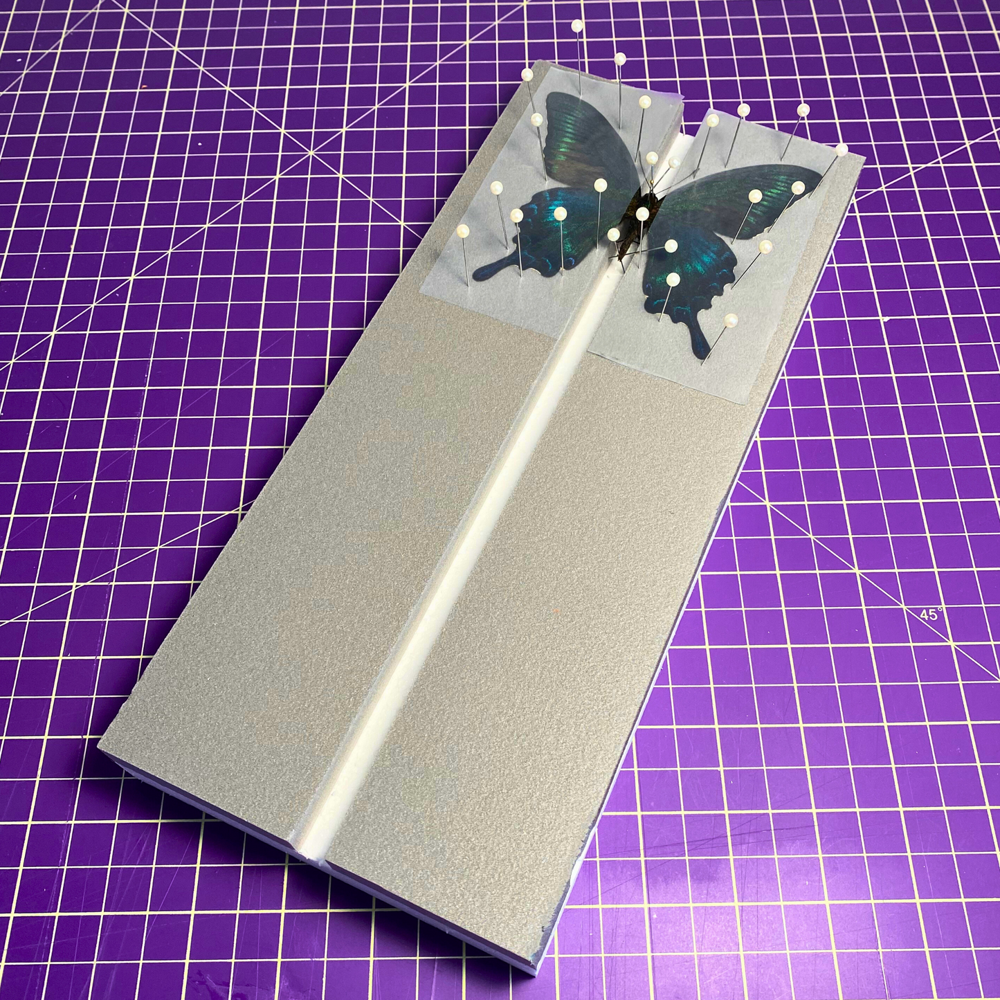 flat butterfly spreading board