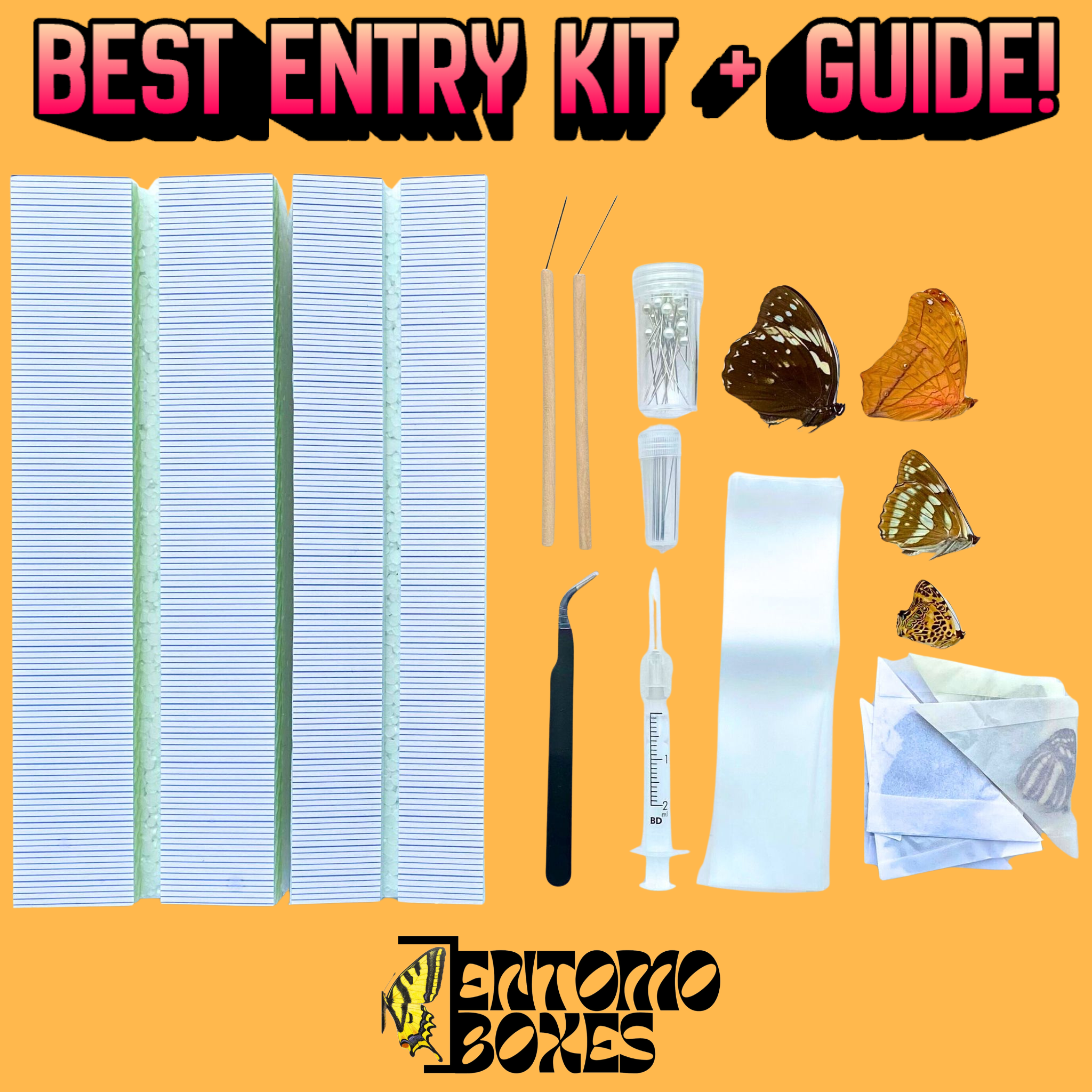 Butterfly Collection Starting Kit