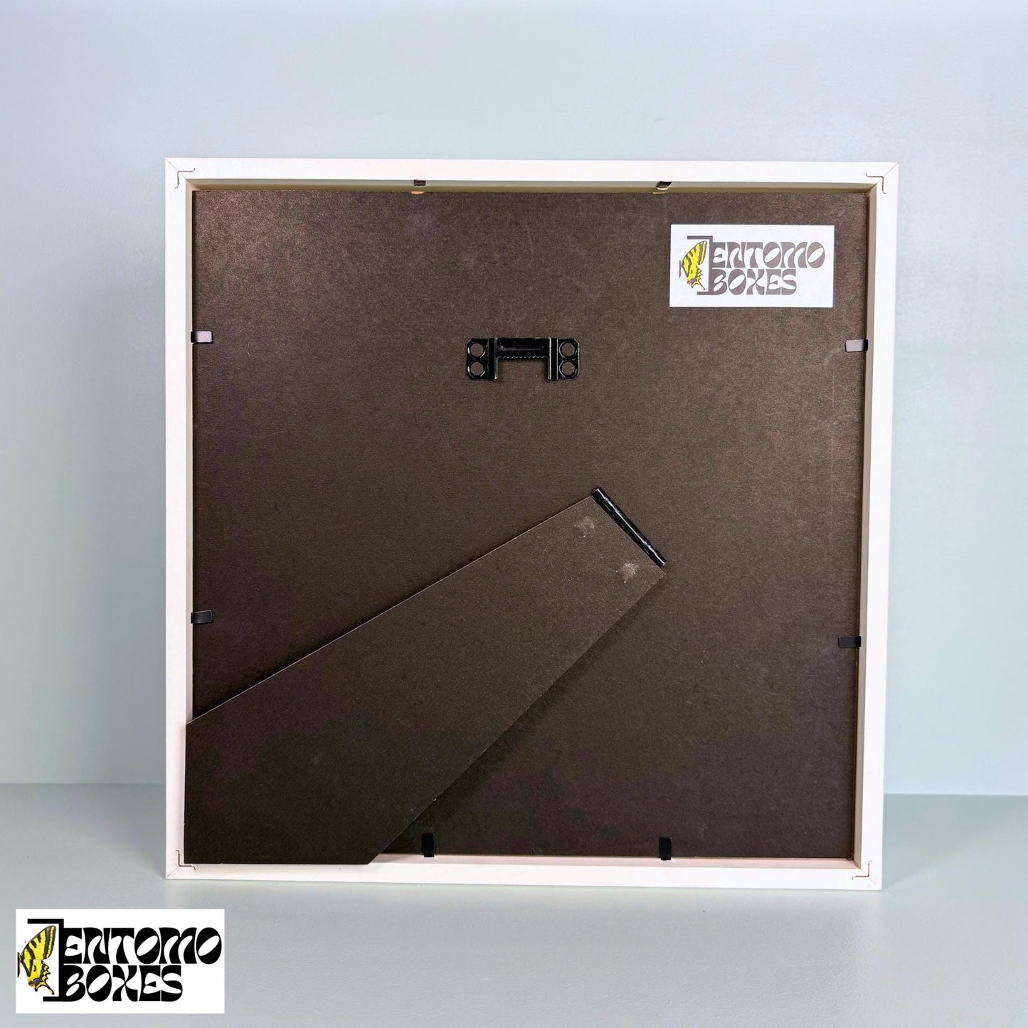 REAL Butterfly photo frame for photos and pictures