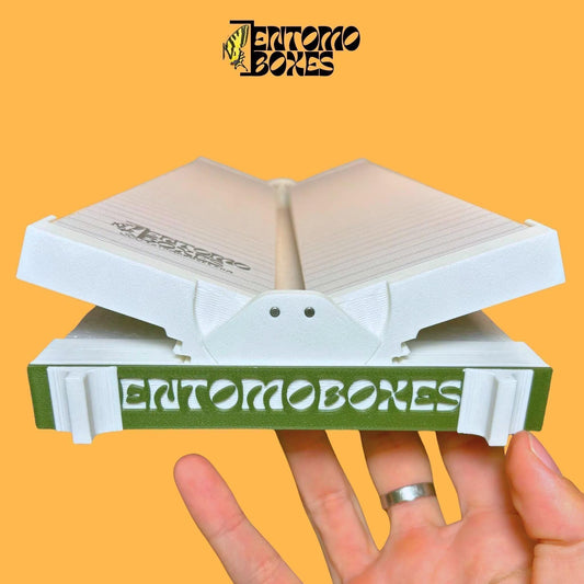 Hand holding the EntomoBoxes Angle-adjustable Pinning Board with its two side panels tilted away from the flat position