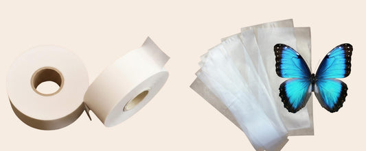 Two rolls of pergamen pinning tape beside a fan of transparent pinning foil strips with a Blue Morpho butterfly