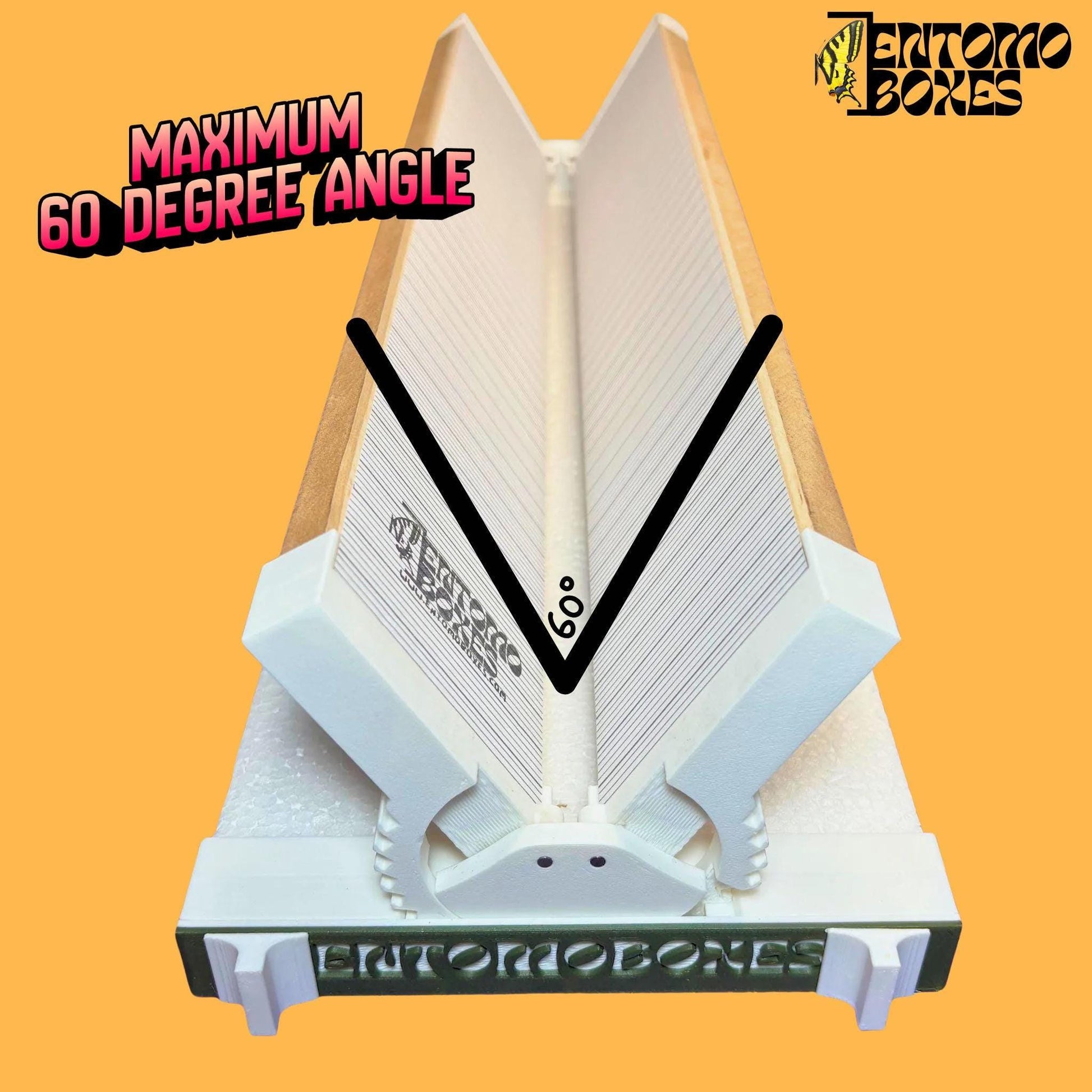 angle adjustable butterfly pinning board