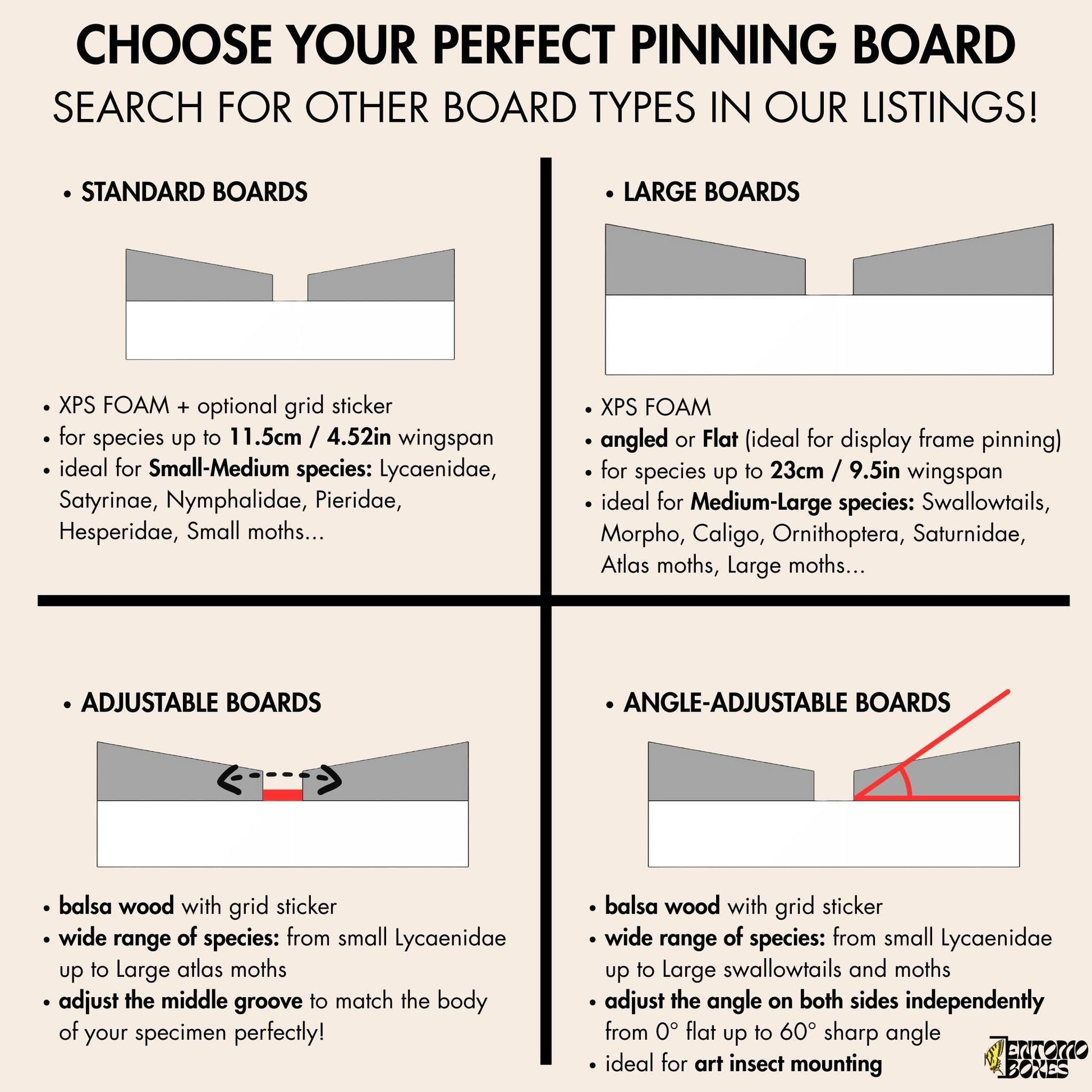 Angle Adjustable pinning board butterflies moths taxidermy entomology art