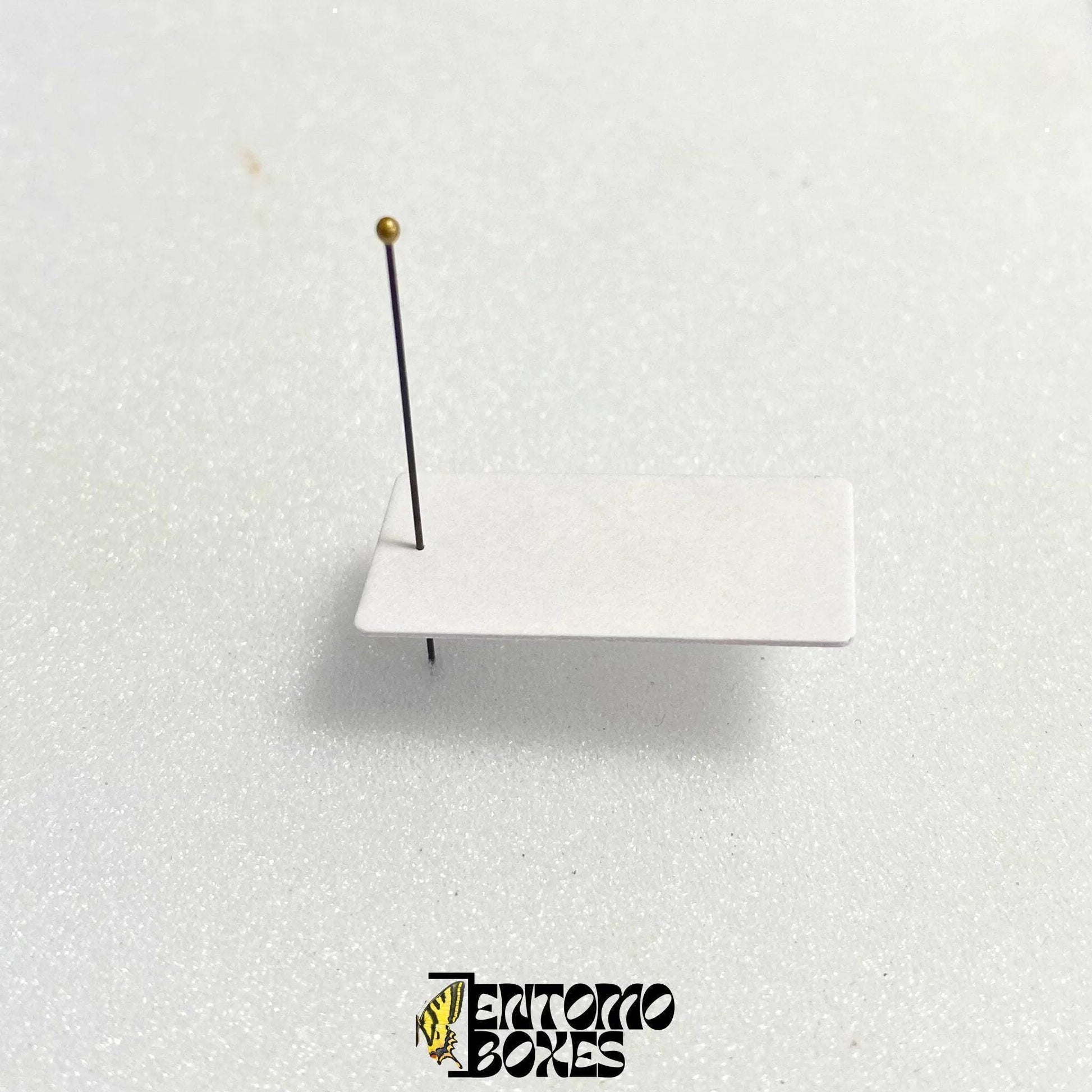 insect mounting paper card