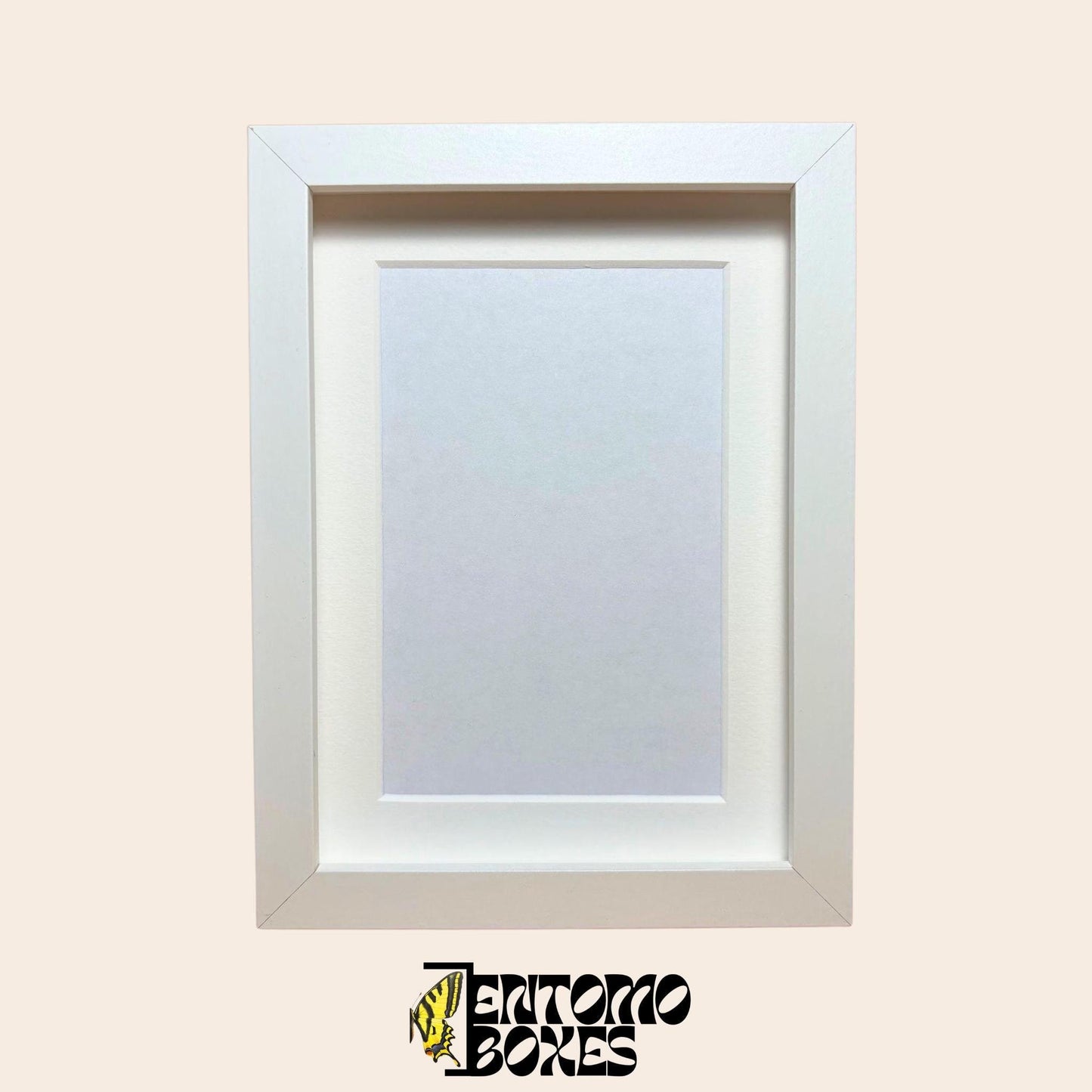 DEEP shadow boxes frames for insect butterflies display for entomology taxidermy