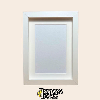 DEEP shadow boxes frames for insect butterflies display for entomology taxidermy