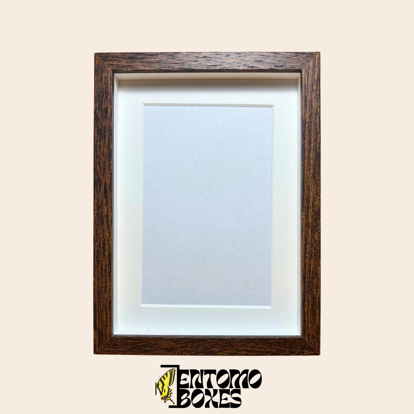 DEEP shadow boxes frames for insect butterflies display for entomology taxidermy