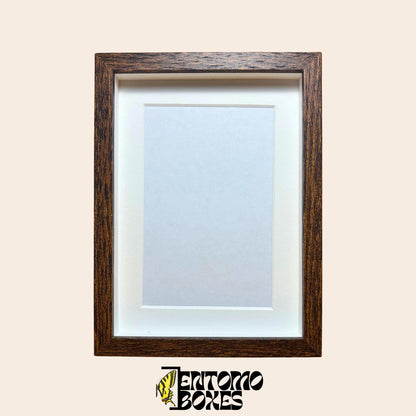 DEEP shadow boxes frames for insect butterflies display for entomology taxidermy