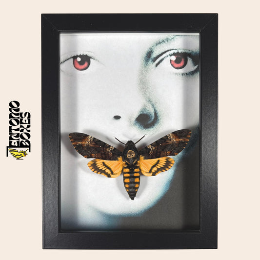 deaths head hawkmoth in frame with silence of the lambs motive