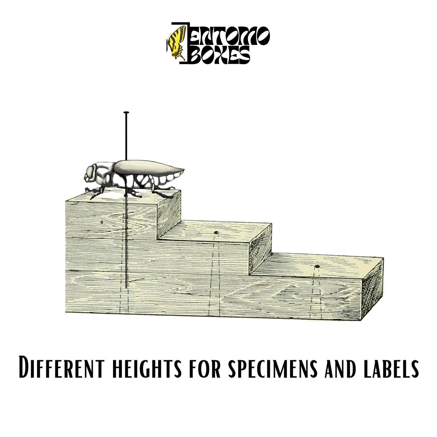 insect height setting block