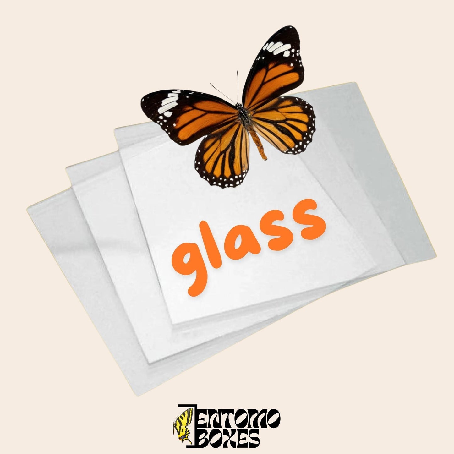 butterfly pinning glass slides