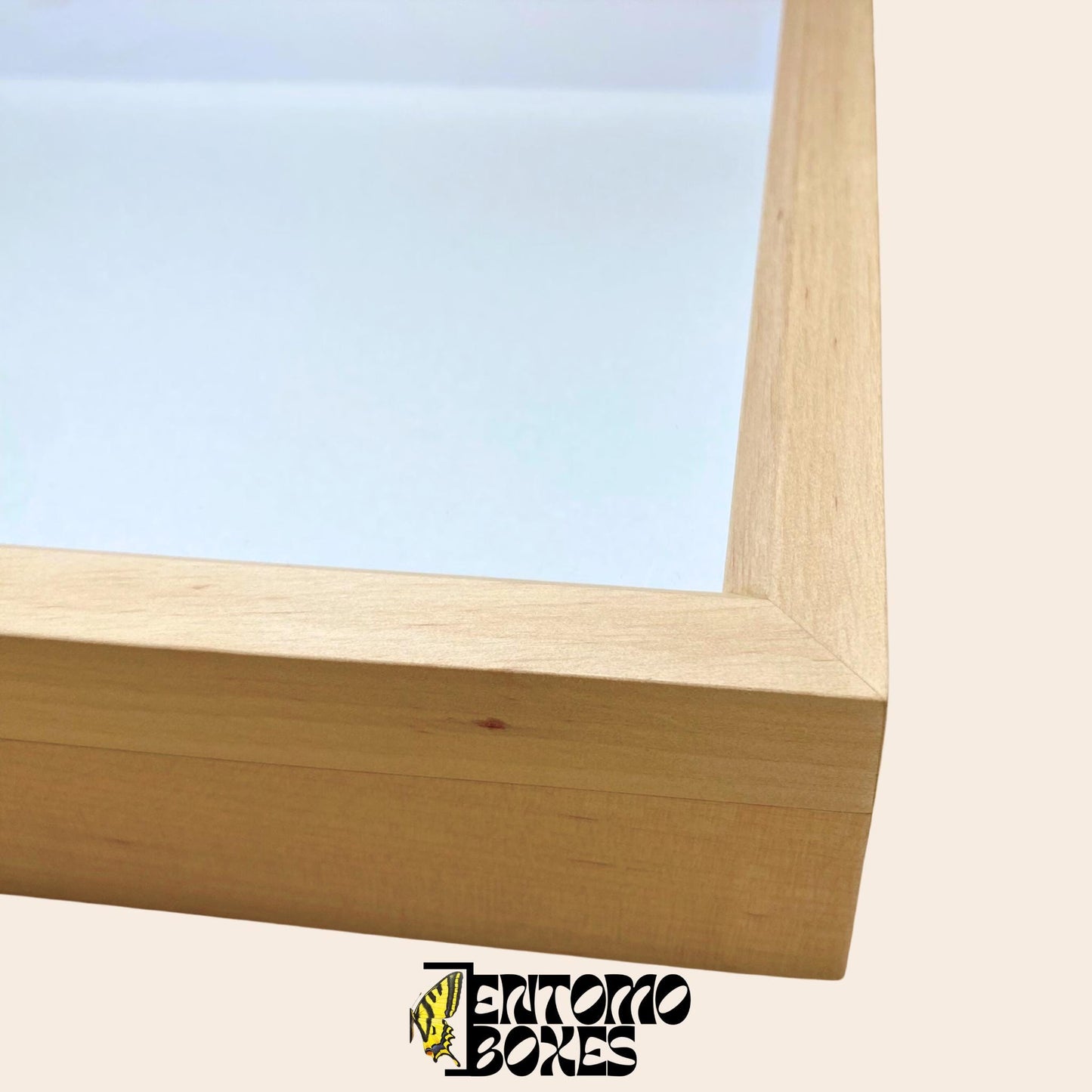 entomology collection box