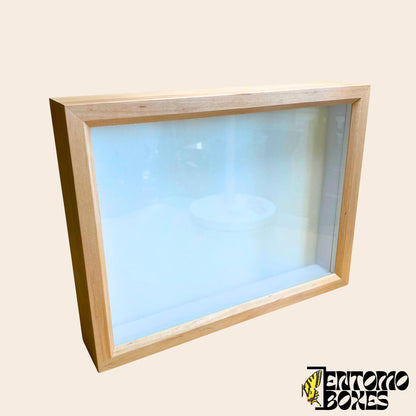 wooden insect collection storage box with glass lid