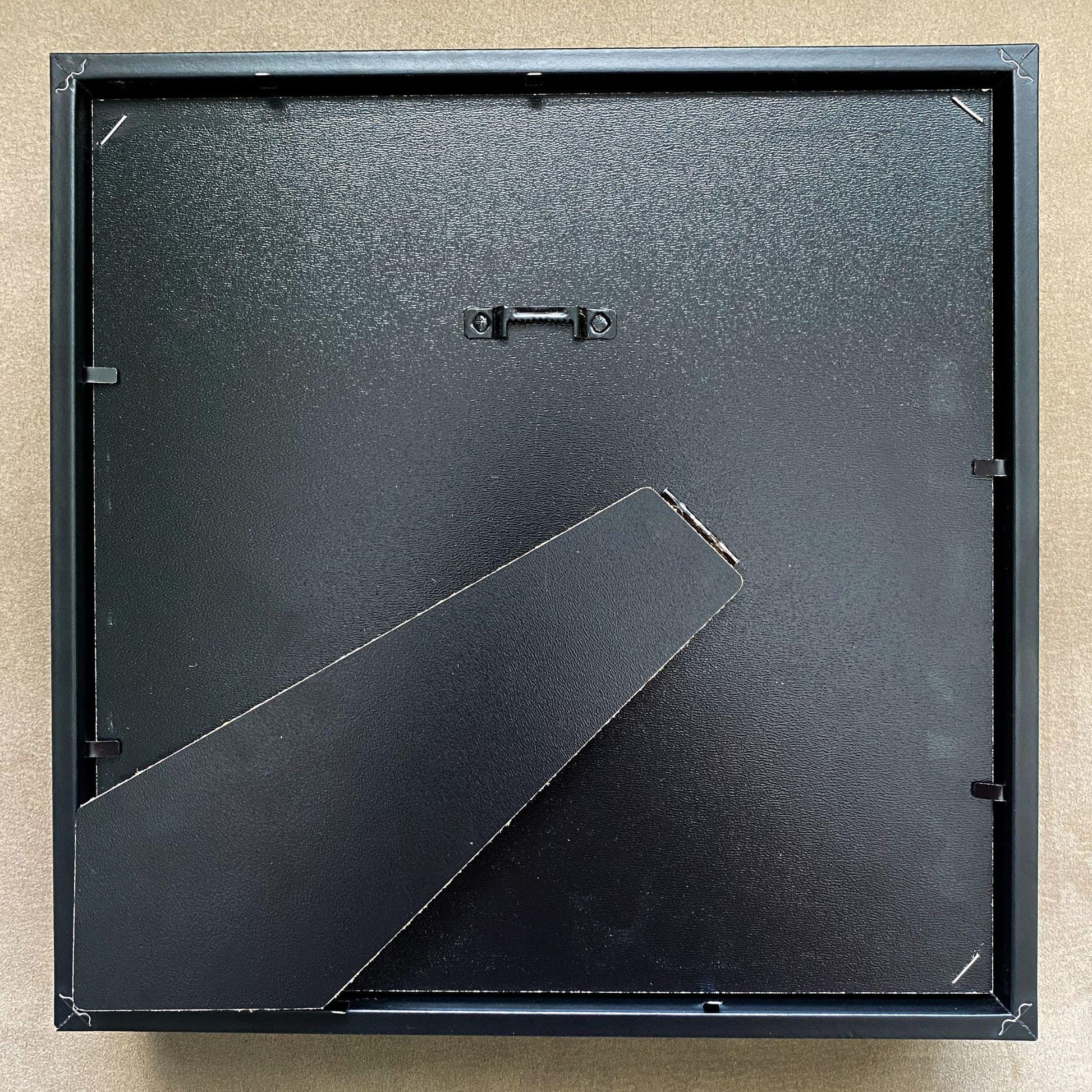 morpho didius tropical butterfly in frame with 3D printed map of south america