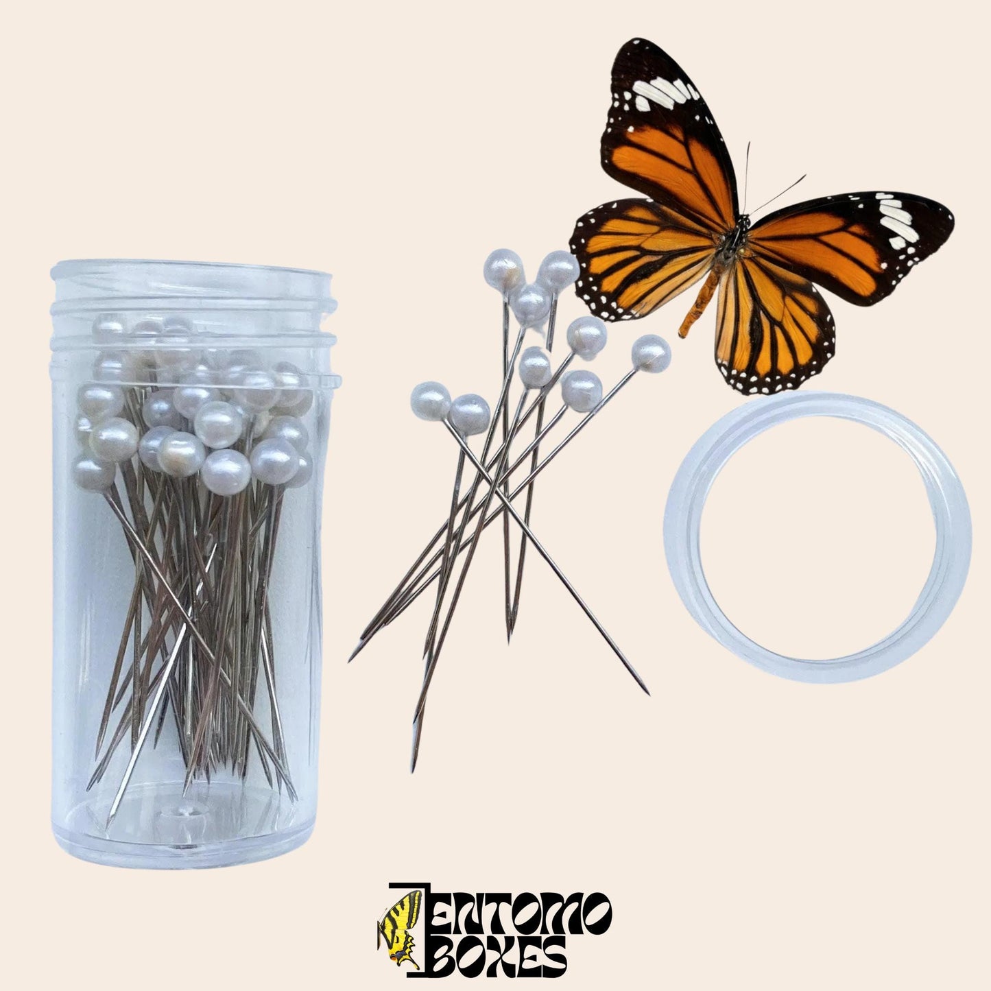 entomology mounting pins