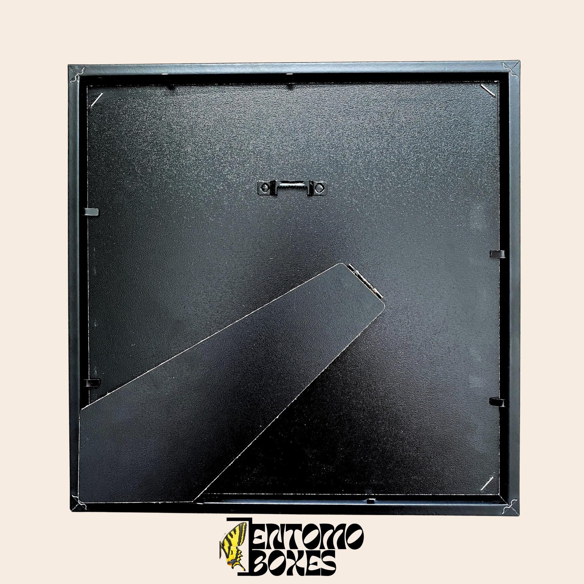 Insect shadow display frame for entomology taxidermy collection