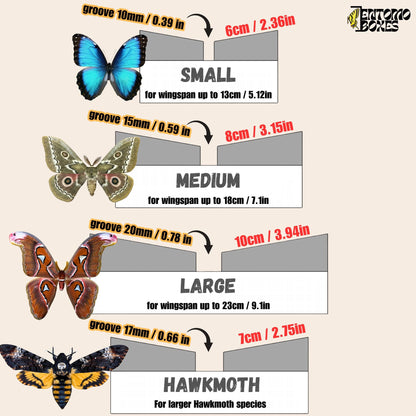 Large Angled Pinning Boards Butterflies Moths insect taxidermy entomology