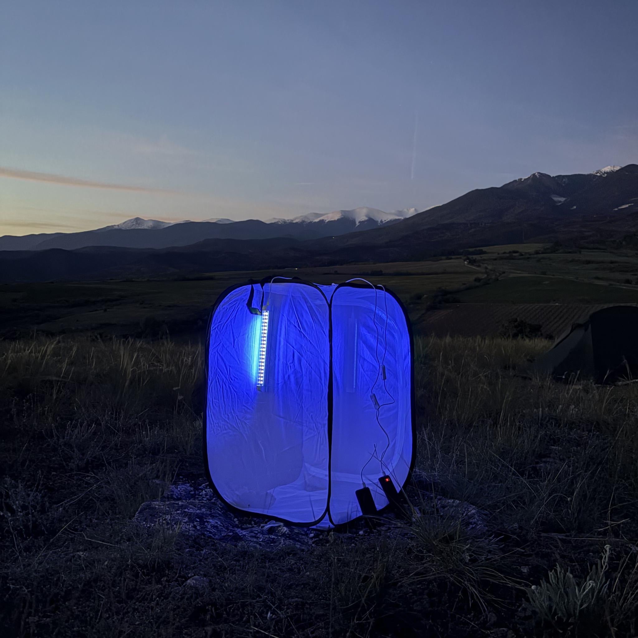 Moth Attracting UV Light – EntomoBoxes