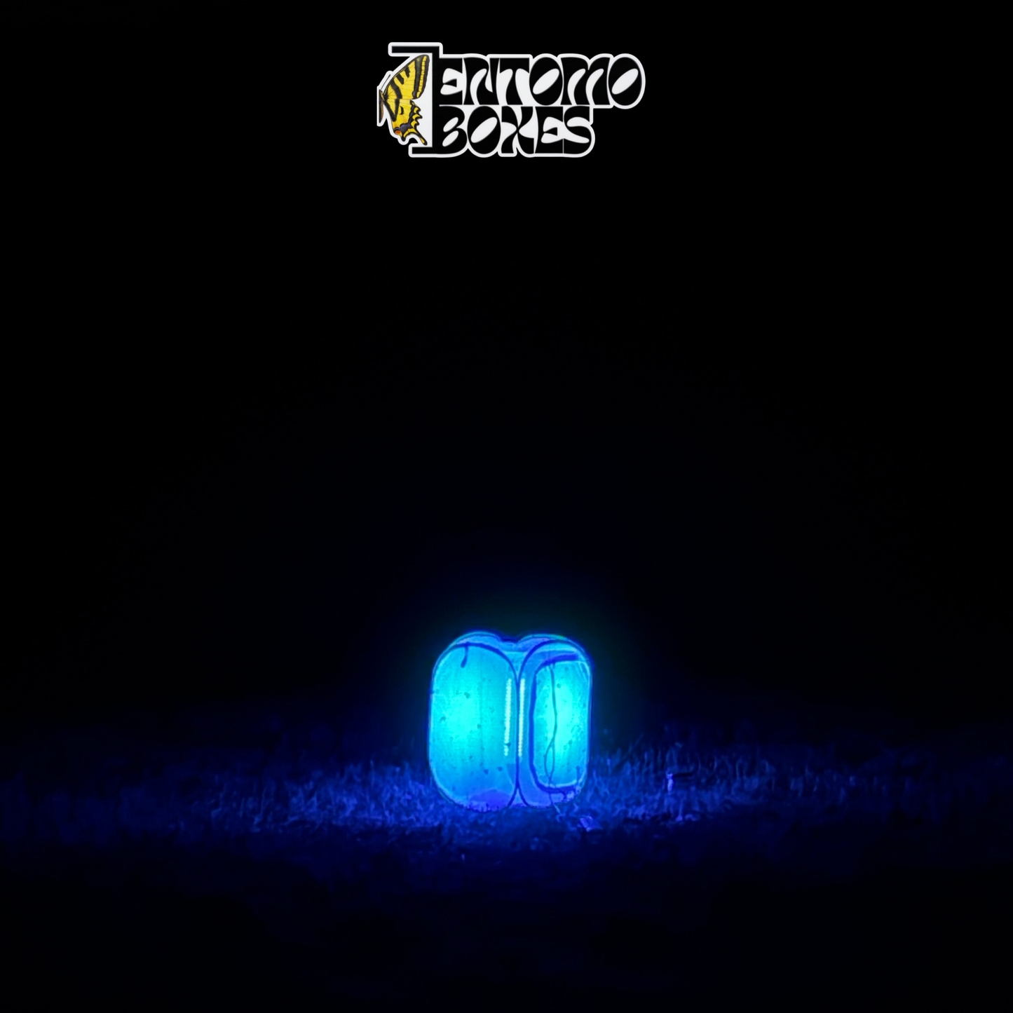 EntomoBoxes UV LED moth trap glowing blue at night attracting moths to the mesh