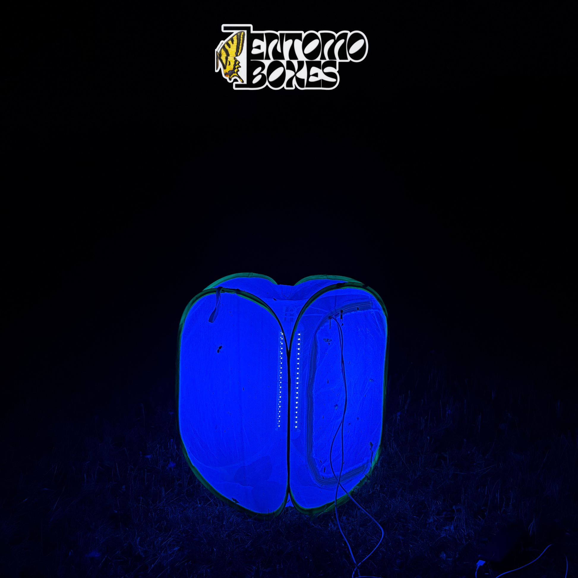 EntomoBoxes moth light trap as the only light source glowing blue in a dark field at night