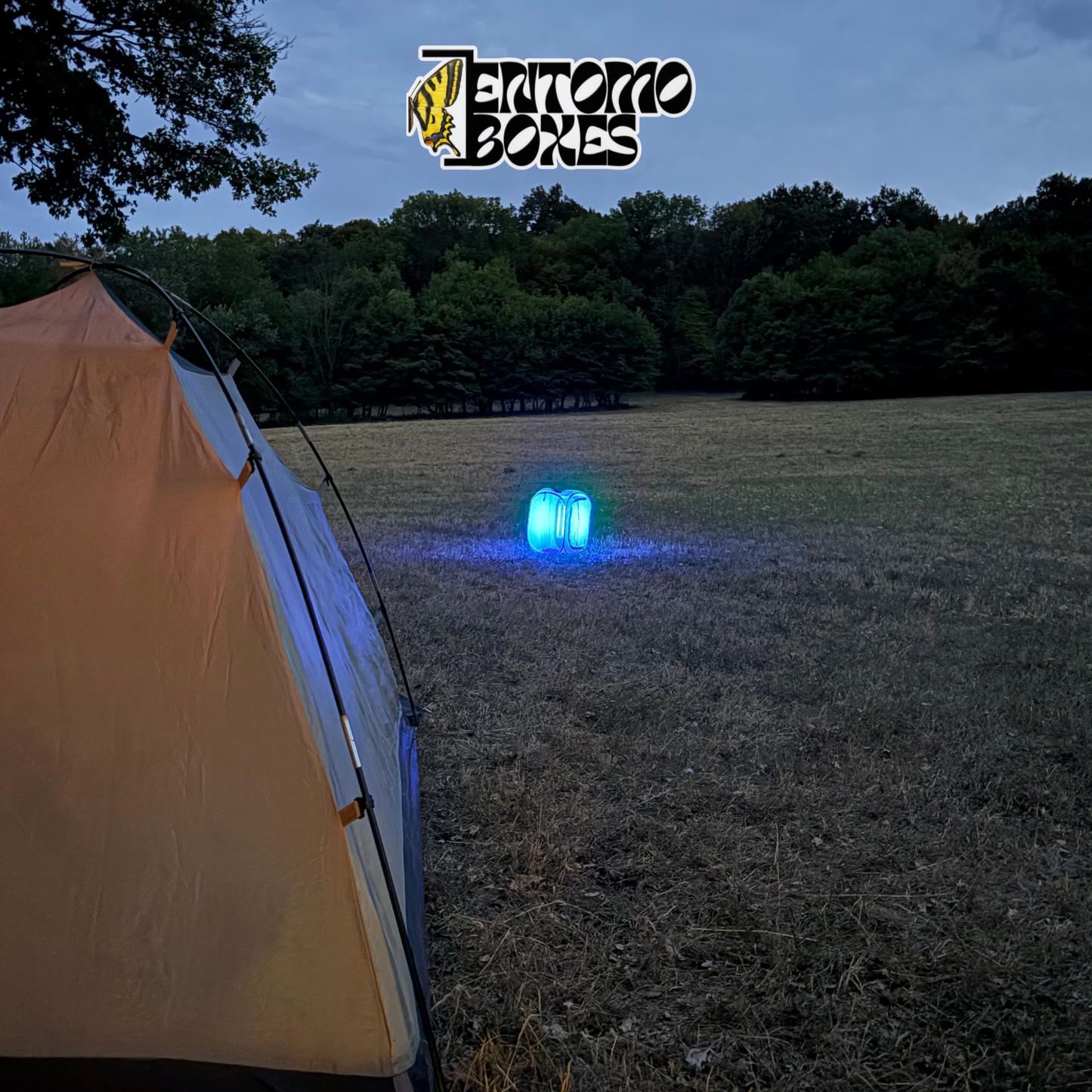 EntomoBoxes UV LED moth light trap glowing blue at dusk next to a camping tent in a grassy field