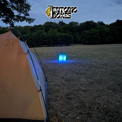 EntomoBoxes UV LED moth light trap glowing blue at dusk next to a camping tent in a grassy field