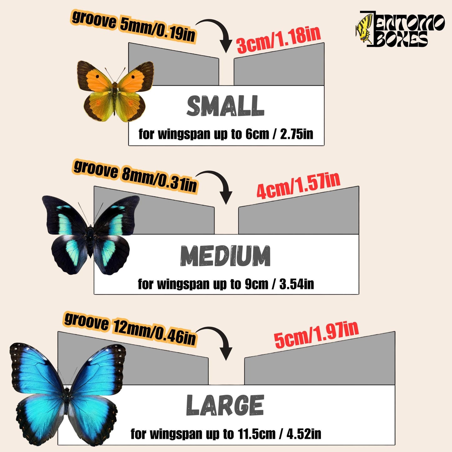 Standard angled insect pinning Board with Grid Sticker mounting spreading moths butterflies Taxidermy Entomology