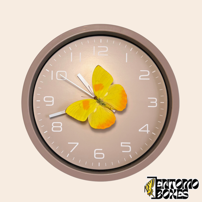 Taupe wall clock with a real yellow Orange-barred Sulphur butterfly (Phoebis philea) on the second hand, front view