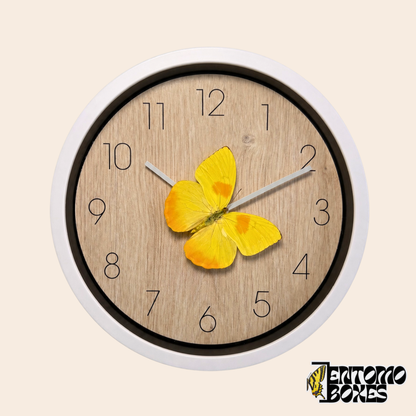 White wall clock with a light wood-pattern dial and a real yellow Phoebis philea butterfly on the minute hand, front view