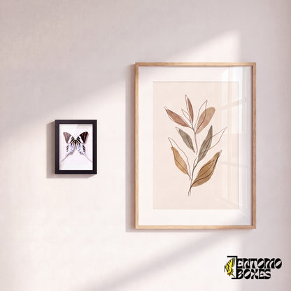 Small framed giant swordtail butterfly hanging on a wall next to a botanical art poster