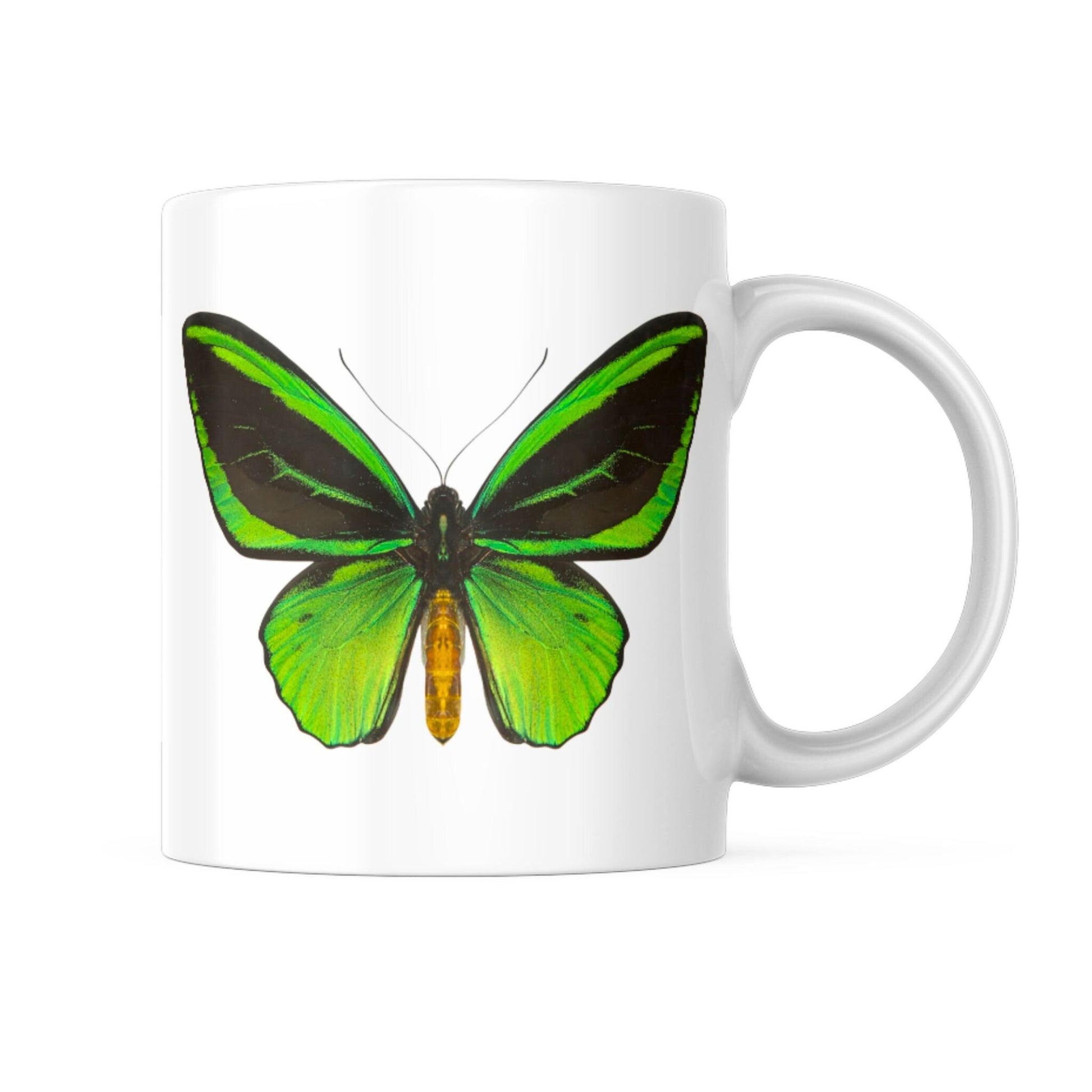buttefly ceramic mug (etsy image id: 5432433536)