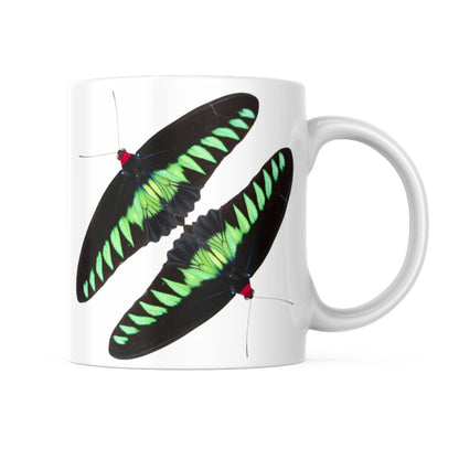 buttefly ceramic cup (etsy image id: 5432433544)