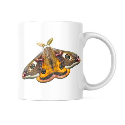 buttefly ceramic cup (etsy image id: 5432433548)