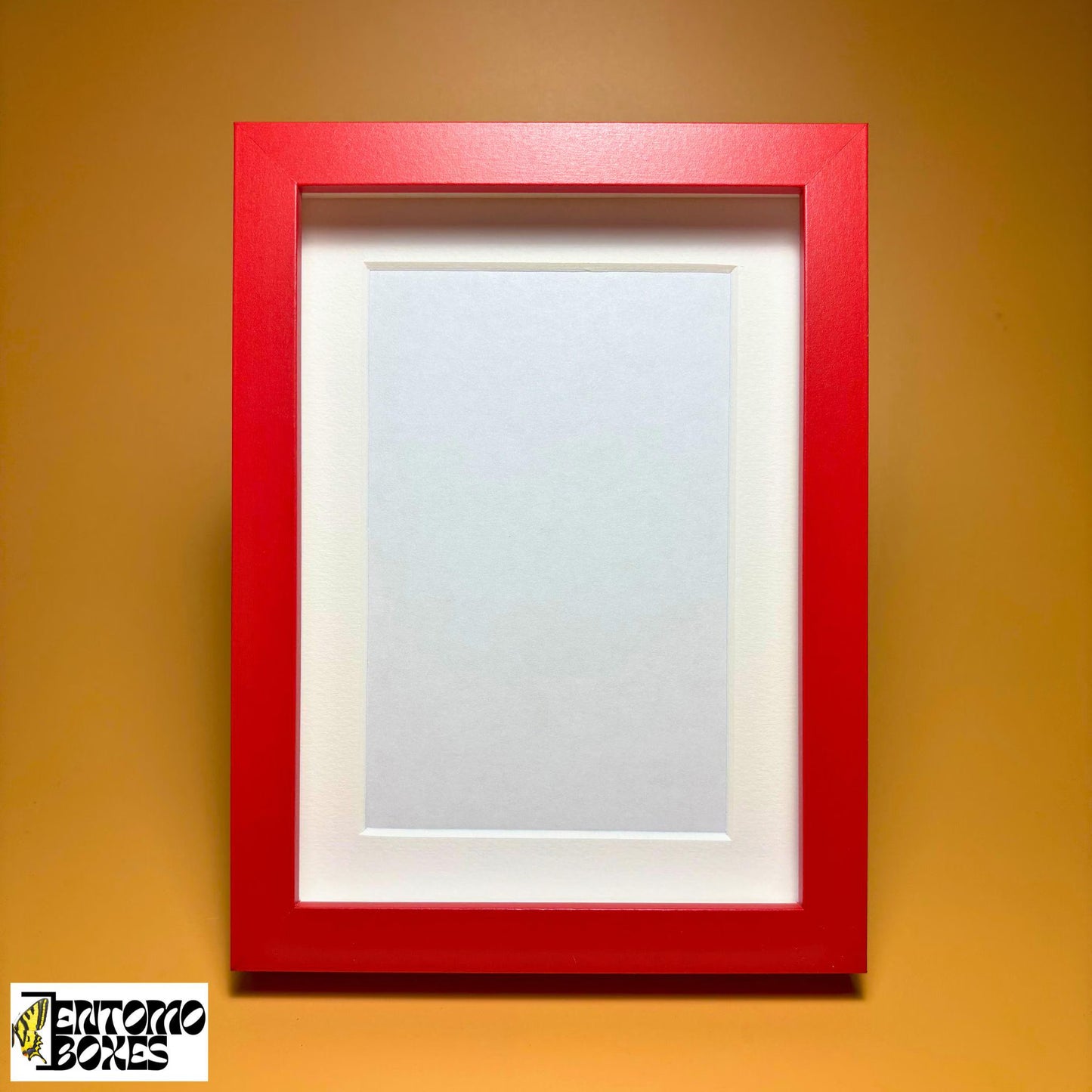 Shadow Box for Insects