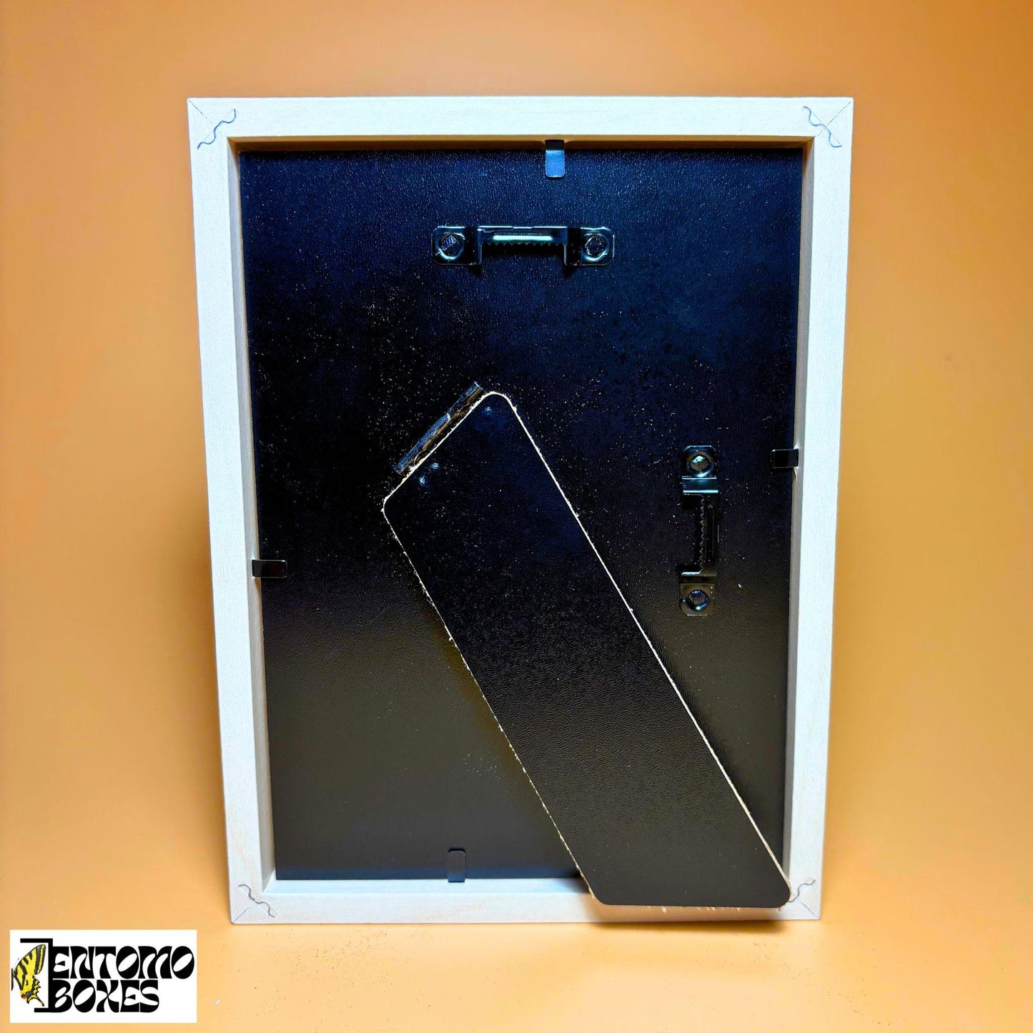 Shadow Box for Insects