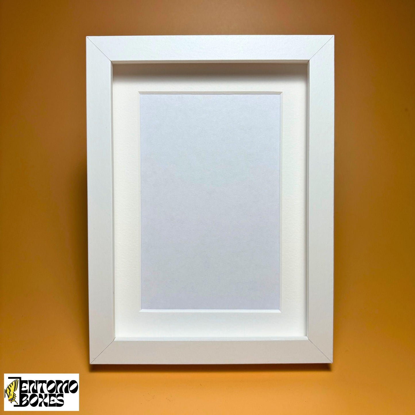 Shadow Box for Insects