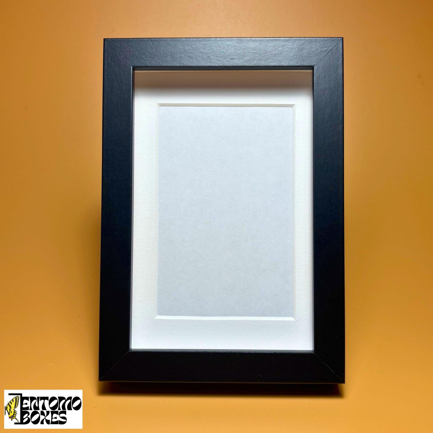 Shadow Box for Insects