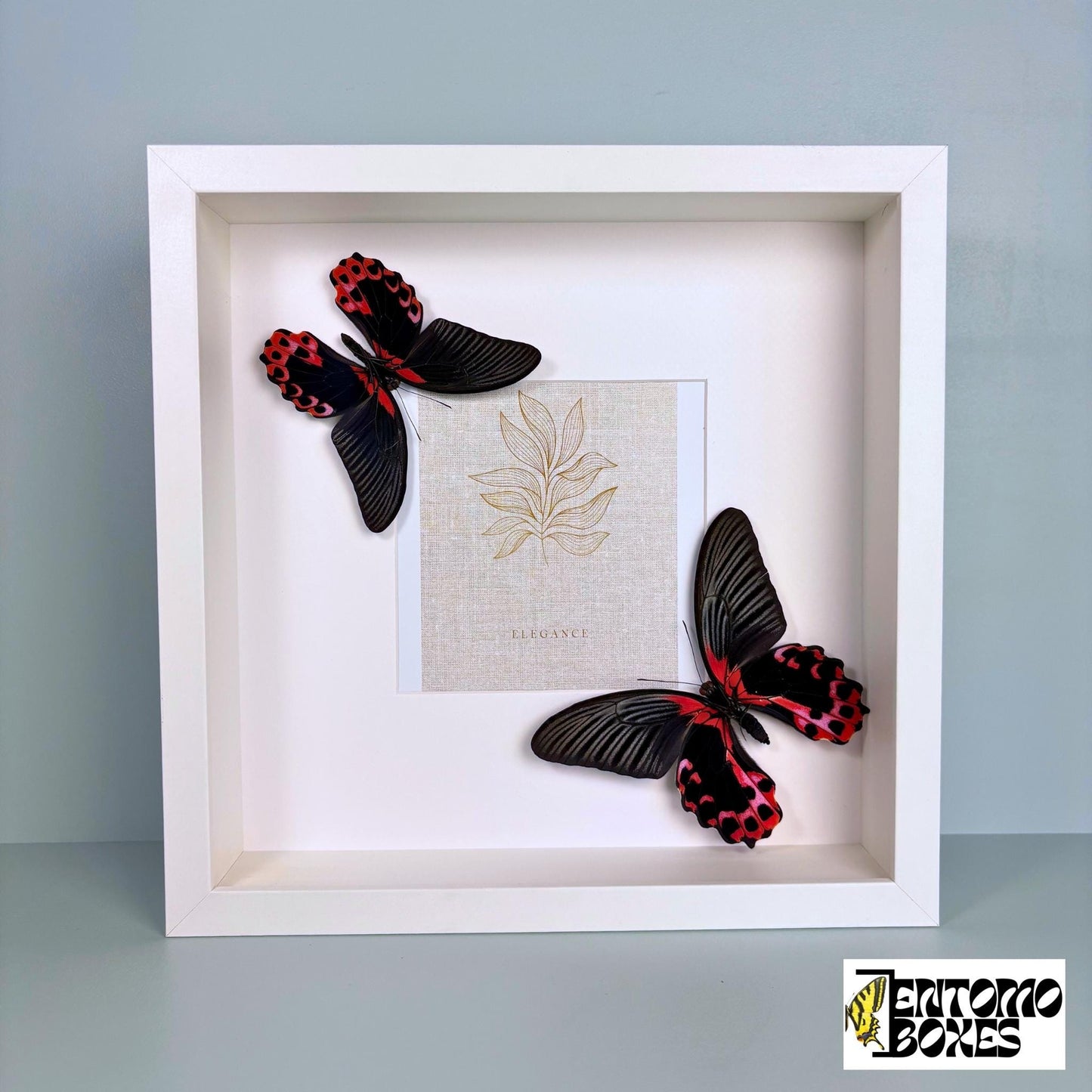 photo frame with butterflies