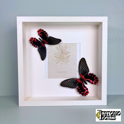photo frame with butterflies