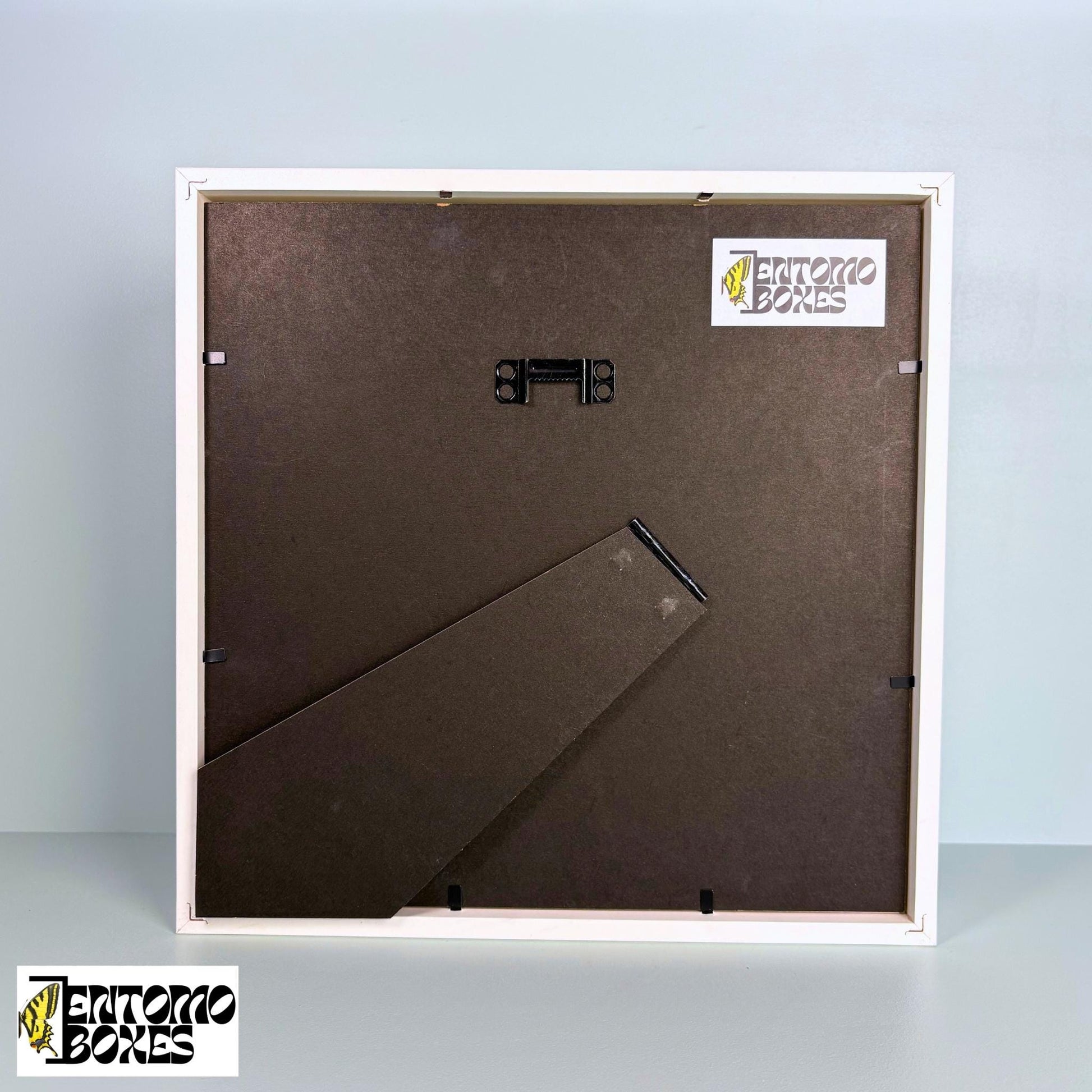 REAL Butterfly photo frame for photos and pictures
