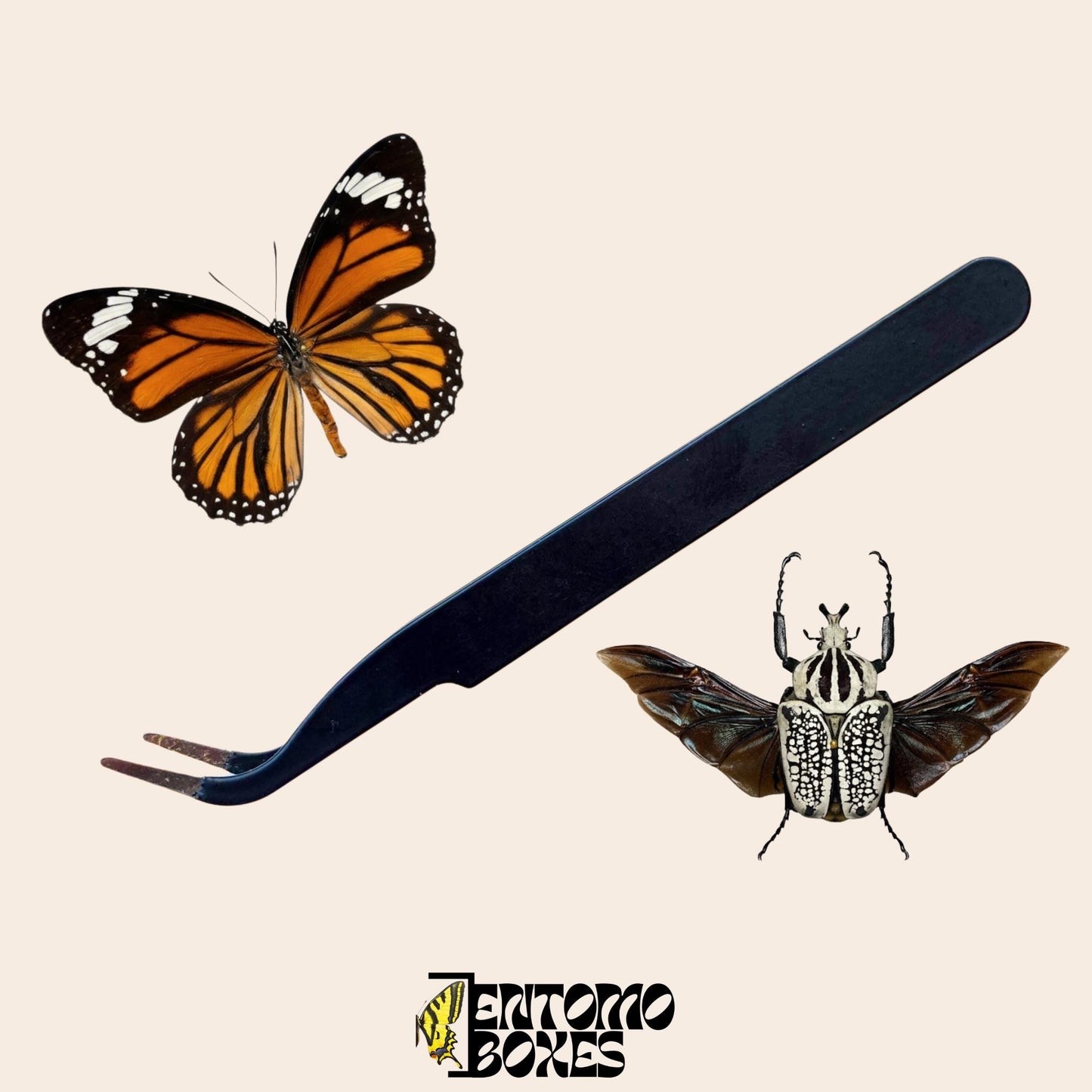 hard tip entomology tweezers (etsy image id: 7768998889)