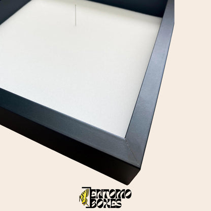 insect storage box (etsy image id: 7793646313)
