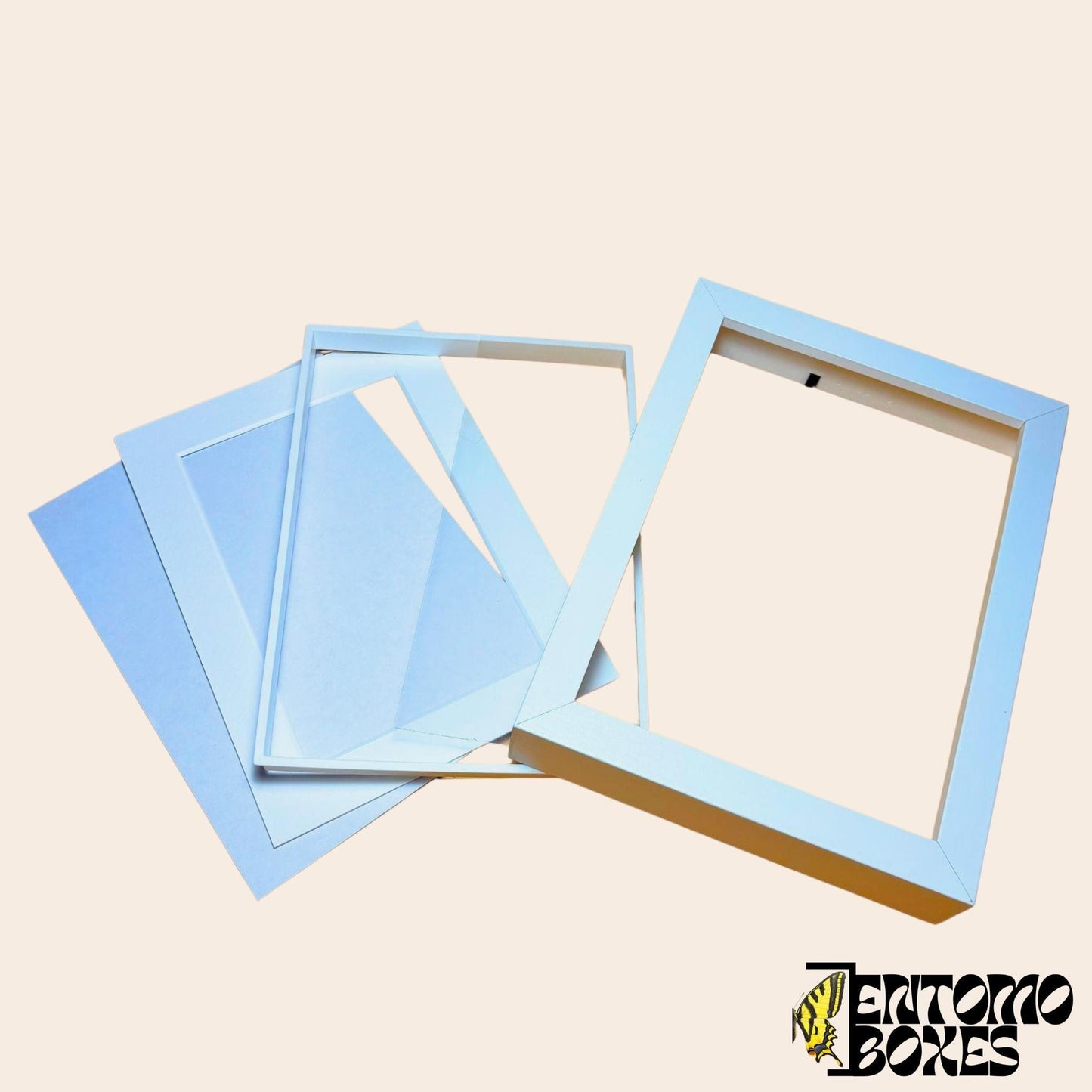 insect shadow frame (etsy image id: 7800563889)