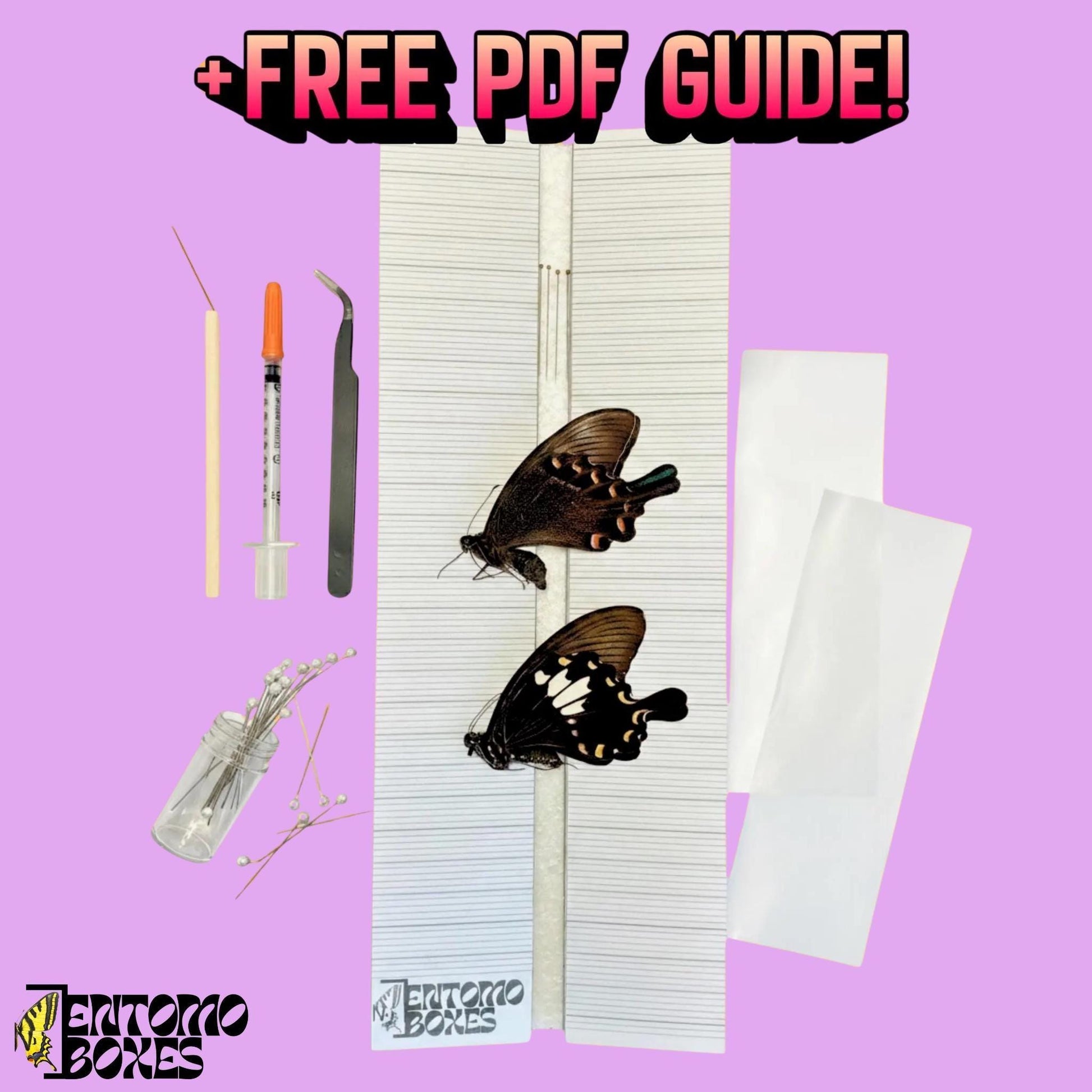 butterfly collection starting kit with all you need (etsy image id: 7820091945)