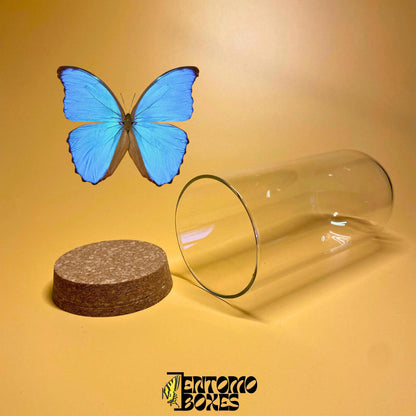 glass dome with cork lid (etsy image id: 7822287108)