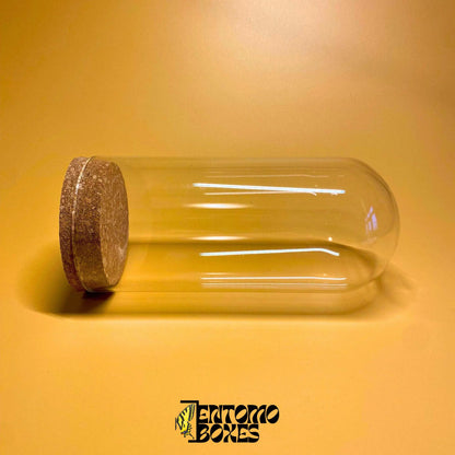 closed glass dome with corck lid (etsy image id: 7870235513)