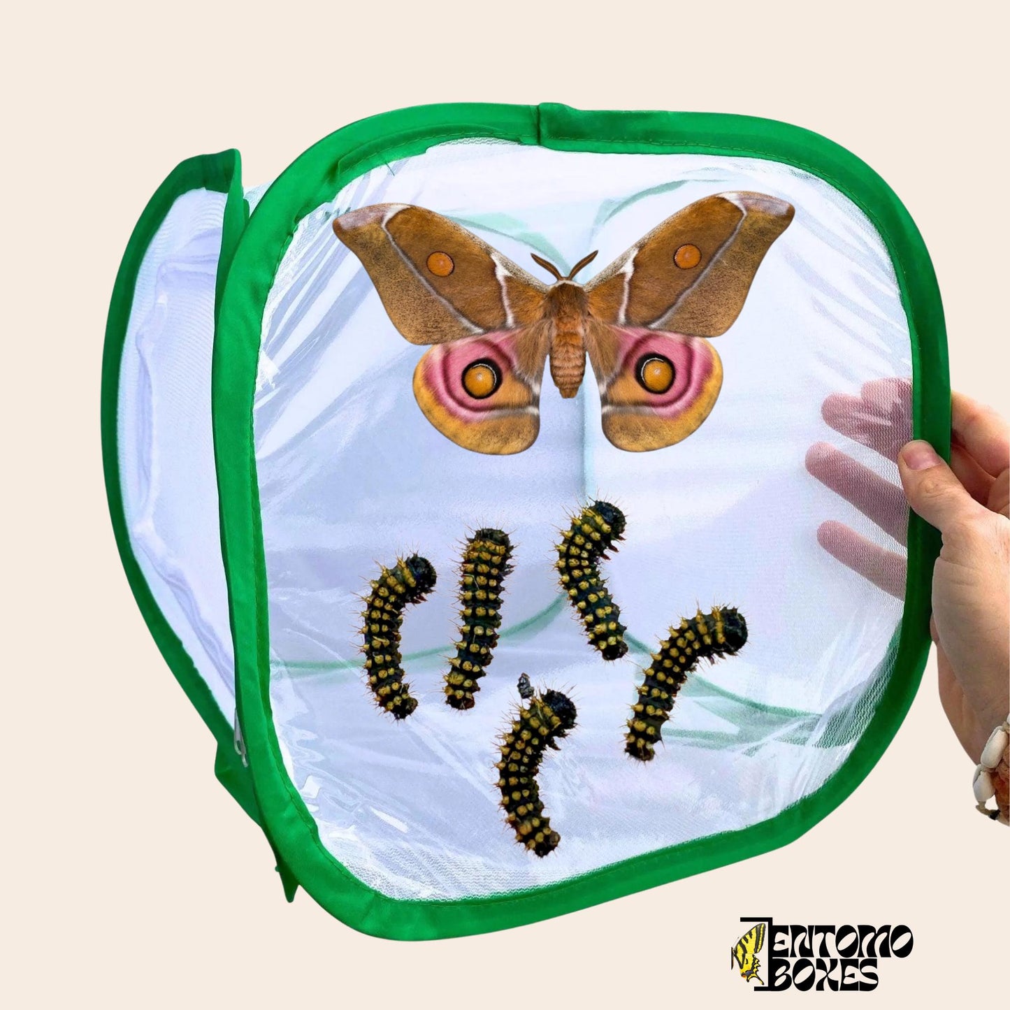 butterfly and moth breeding cage 30x30x30cm (etsy image id: 7962581899)