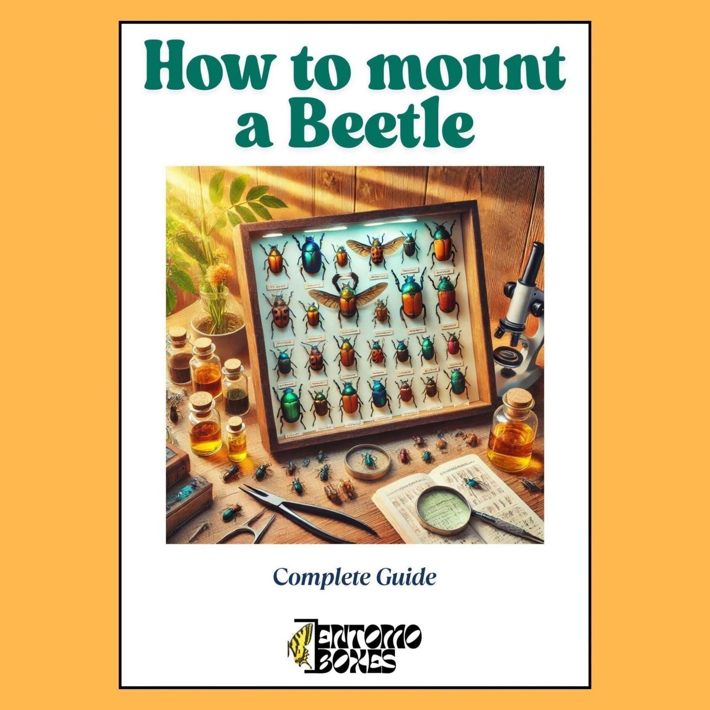 beetle mounting guide (etsy image id: 7968476440)